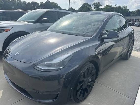 TESLA MODEL Y 2024 7SAYGDEF6RA324569 image